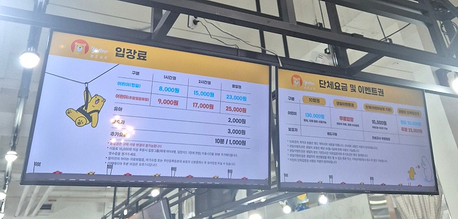 옐로우베어 사진 1