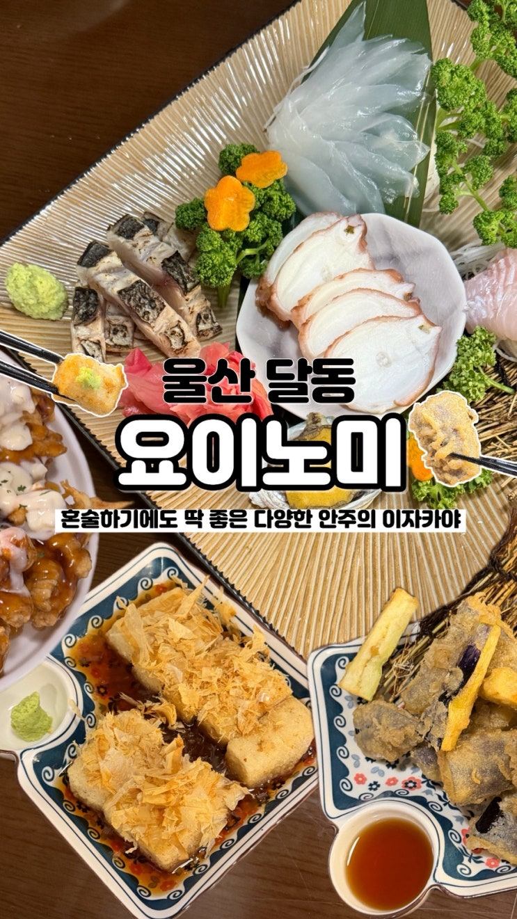  혼술 하기에도 좋은 울산 달동 주당들의 아지트 요이노미