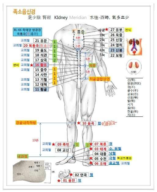 [공유] 변비에 쓰이는 특효혈