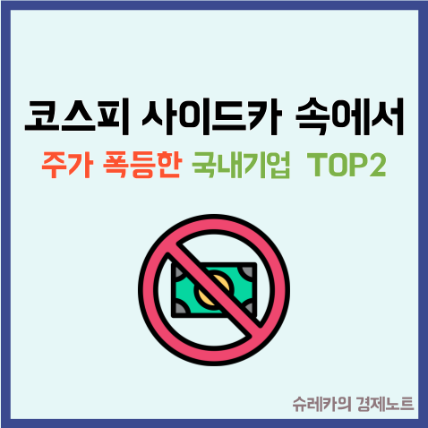  "코스피 사이드카" 속에서도 주가 폭등한 국내기업 TOP2