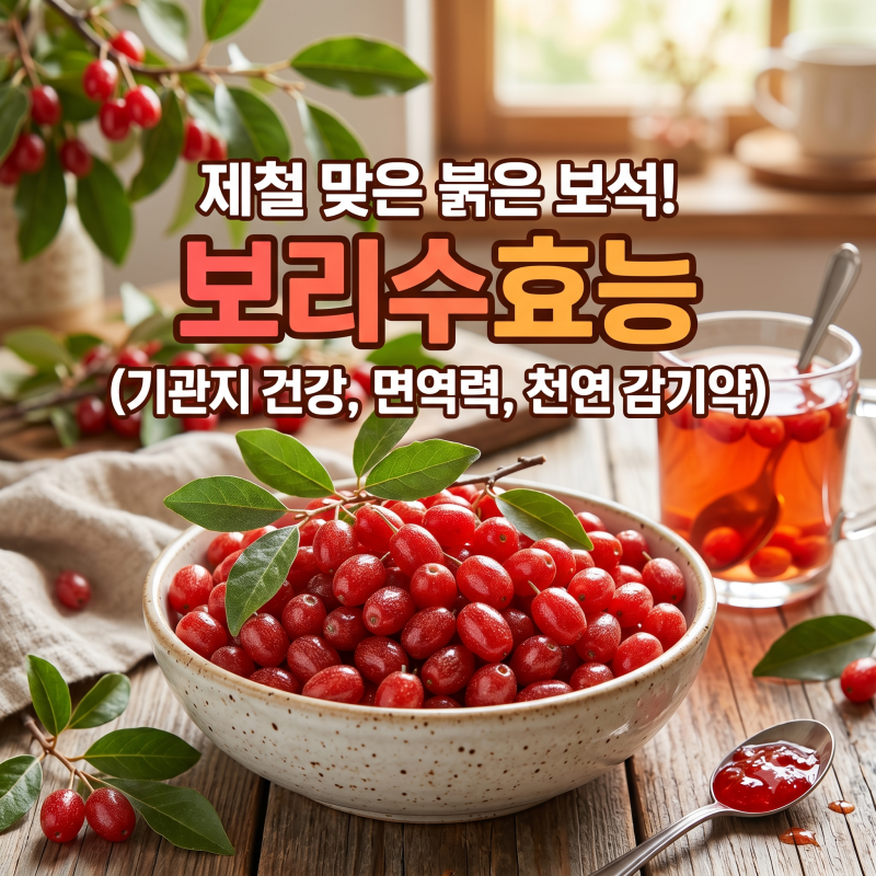 보리수효능 5가지와 부작용, 효과적으로 먹는 법 보관법 총정리