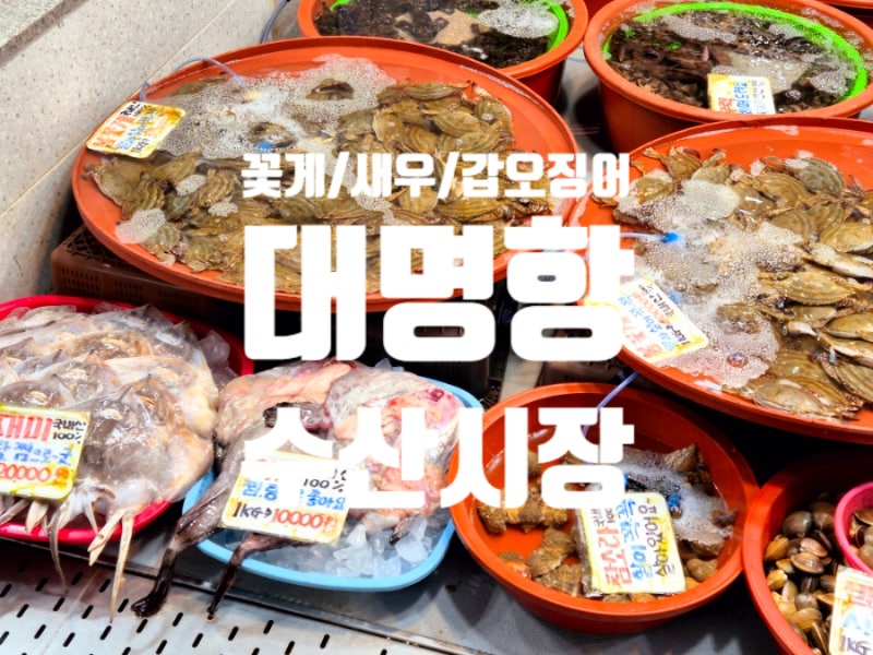 김포 대명항 수산시장 꽃게 생새우 시세 가격 어판장 실제 구매 후기