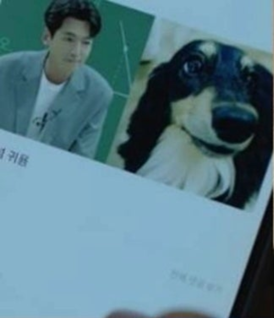 정경호 수영, 반려견과 근황 공개 발표 당일 올라온 ‘방구쟁이’ 사진