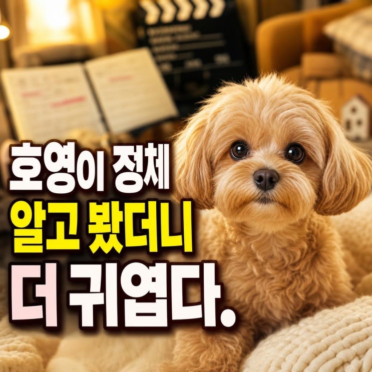 정경호 최수영 반려견 호영이, <b>일타 스캔들</b> 장면이 다시 화제... 