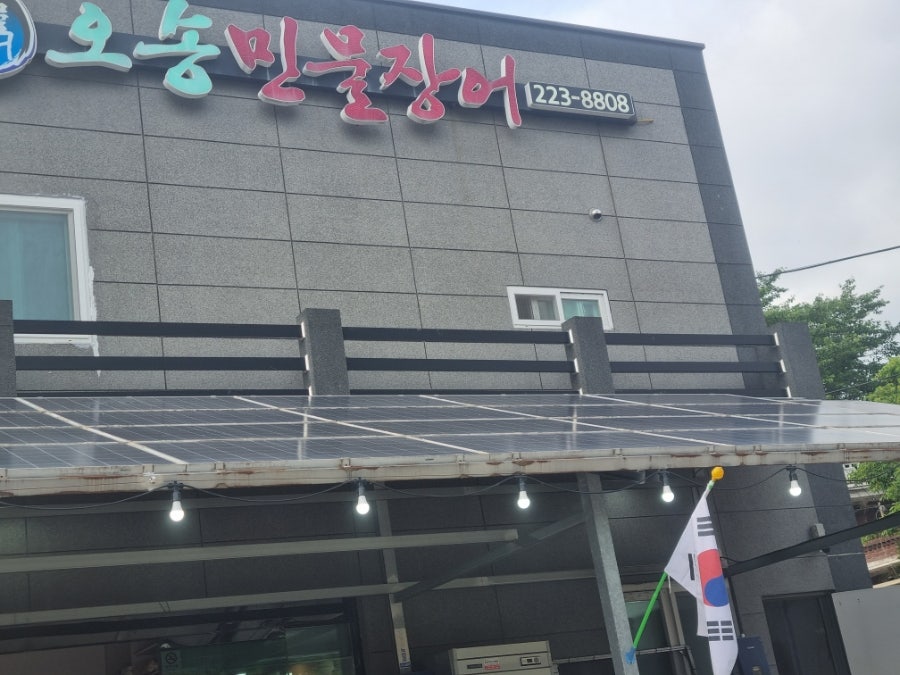 오송민물장어 사진 5