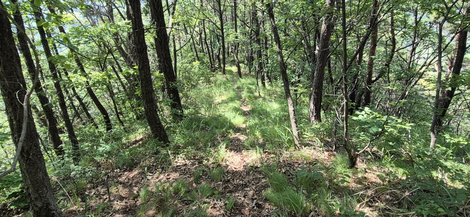 국지산 사진 5