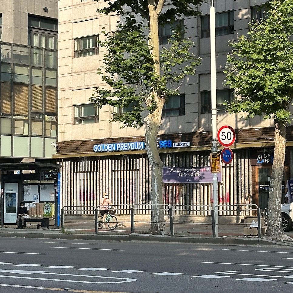 선남씨 사진 4