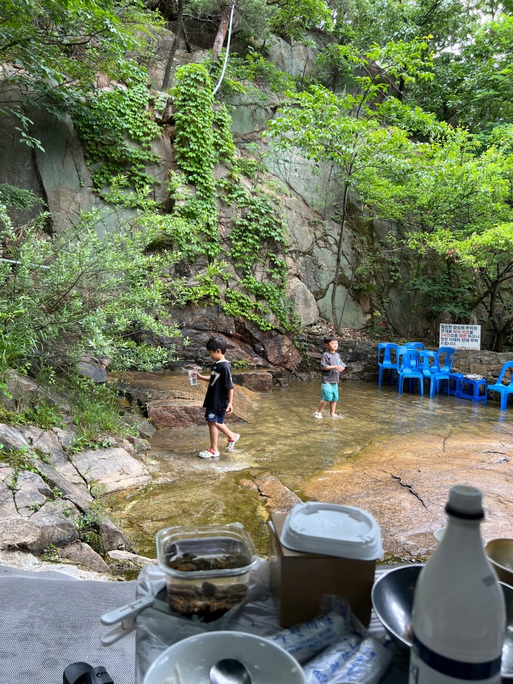  [안양유원지 맛집] 보은장식당 : 계곡 바로 앞 평상에서 즐기는 닭백숙과 닭도리탕! 주말 주차 꿀팁 및 아이와 방문 후기
