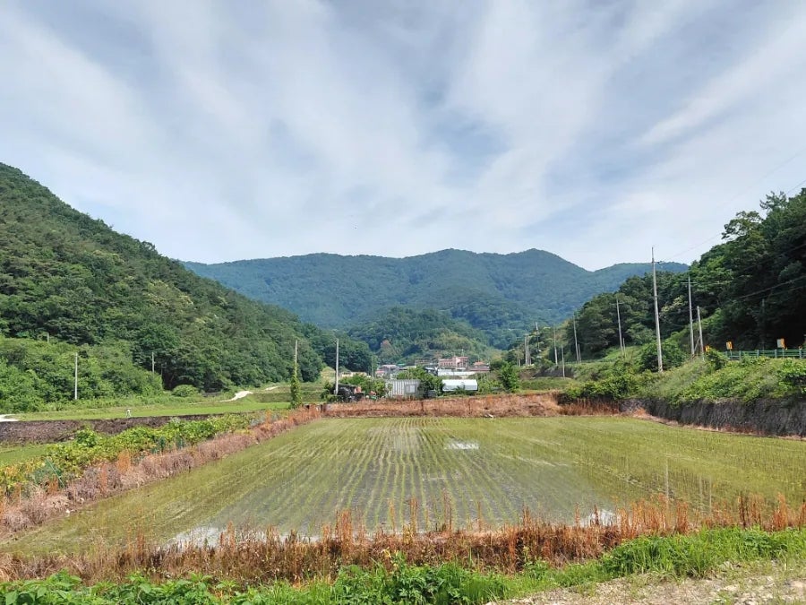 건지산 사진 1