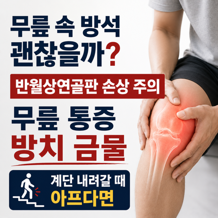  무릎 속 방석 반월상연골판 손상, 무릎 통증 방치하면 안 되는 이유 그리고 경기일보 건강지면