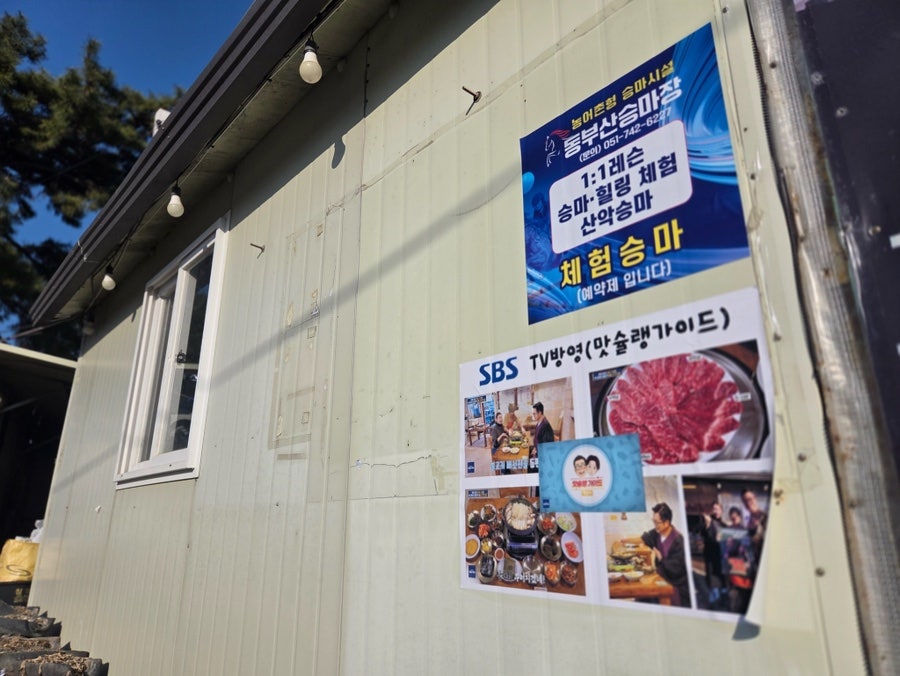 산들애 사진 5