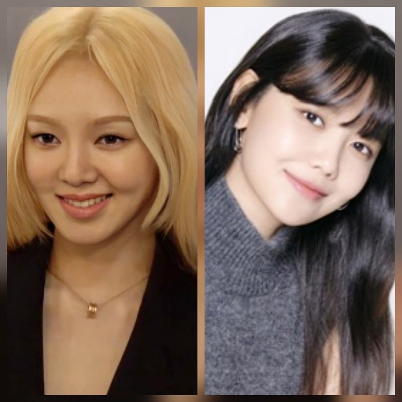 효연, 소시 다음 결혼 발언 재조명…왜 갑자기 수영 결별 후 주목받나?