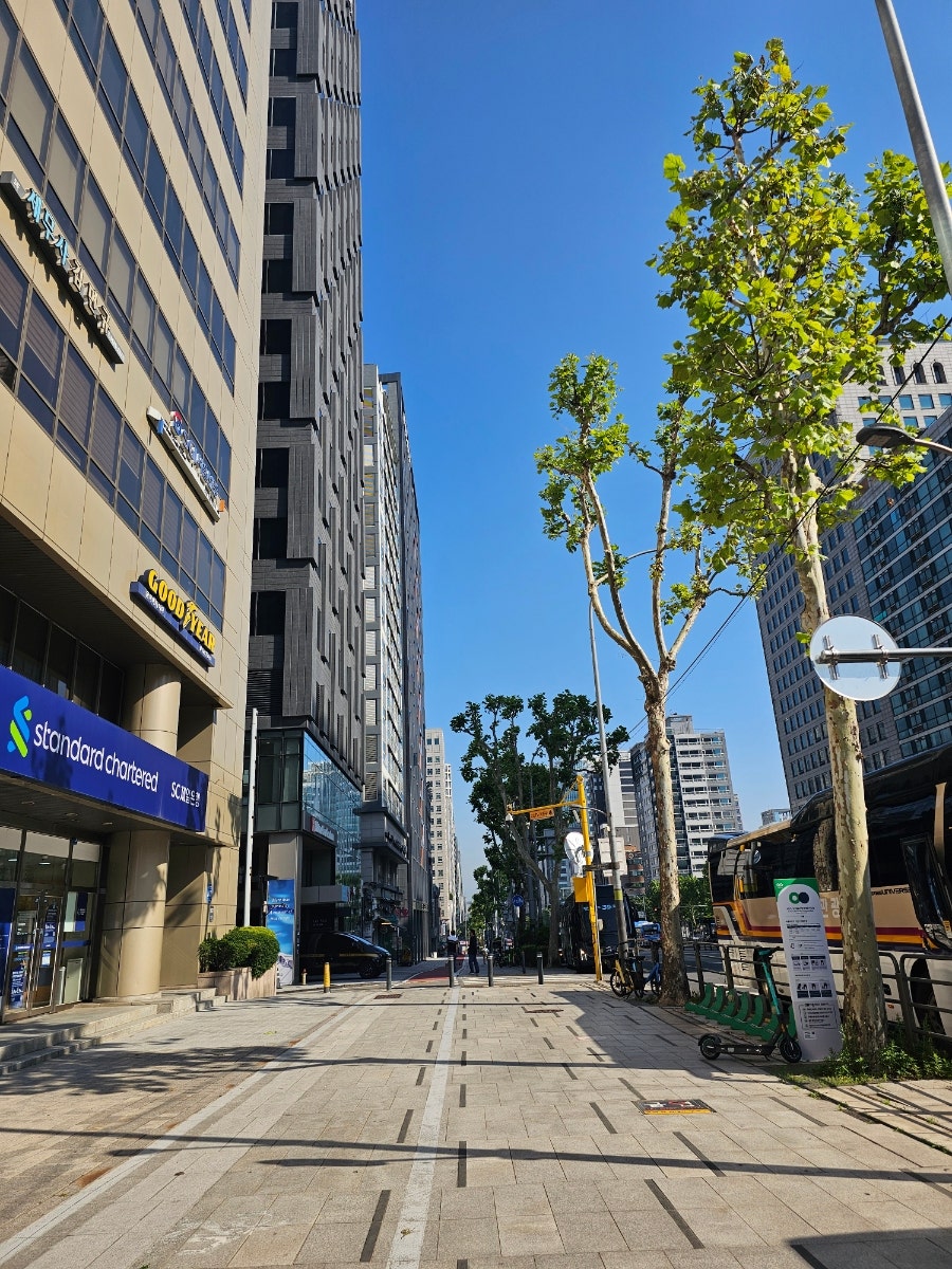 명가 사진 3