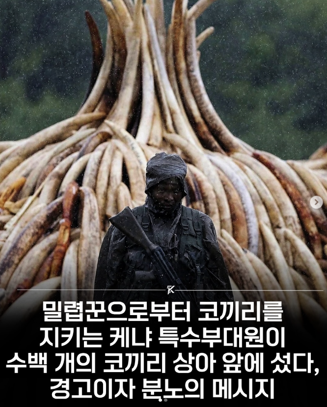  케냐 특수부대원의 경고