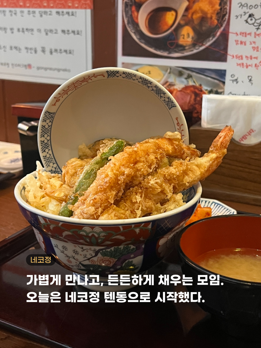 네코정 사진 1
