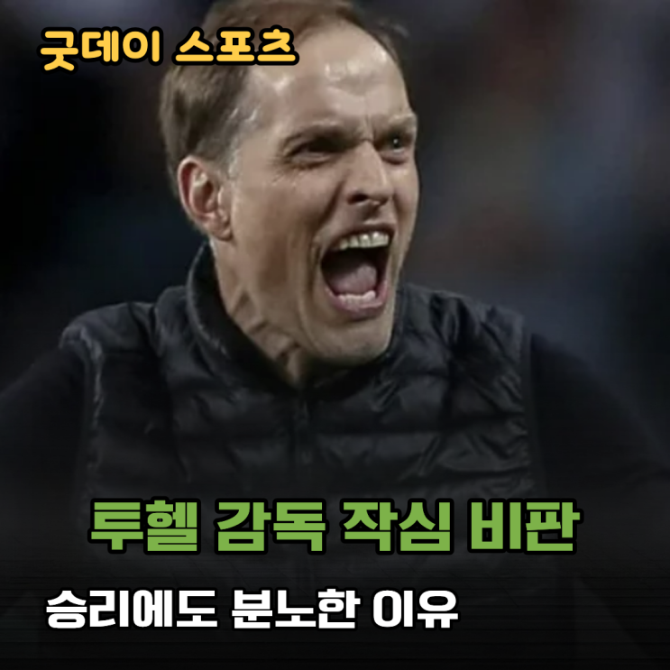 "위치 선정 엉망이었다" <b>투헬 감독</b>, 잉글랜드 공개 저격