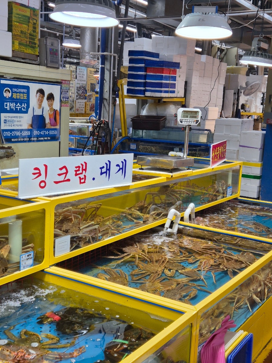 돌고래식당 사진 4
