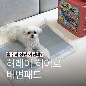 강아지 배변패드 모서리 디테일까지 잡은 허레이 히어로패드 대형 같은 중형 후기