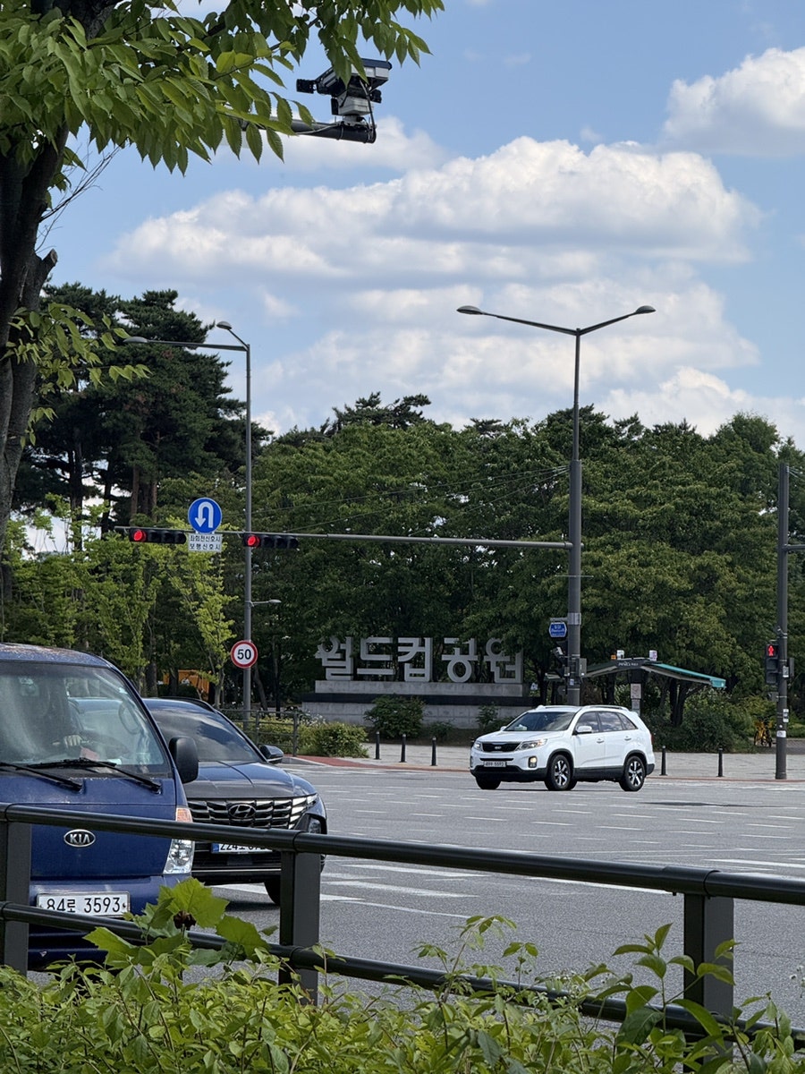 리틀스탠드레몽 사진 3