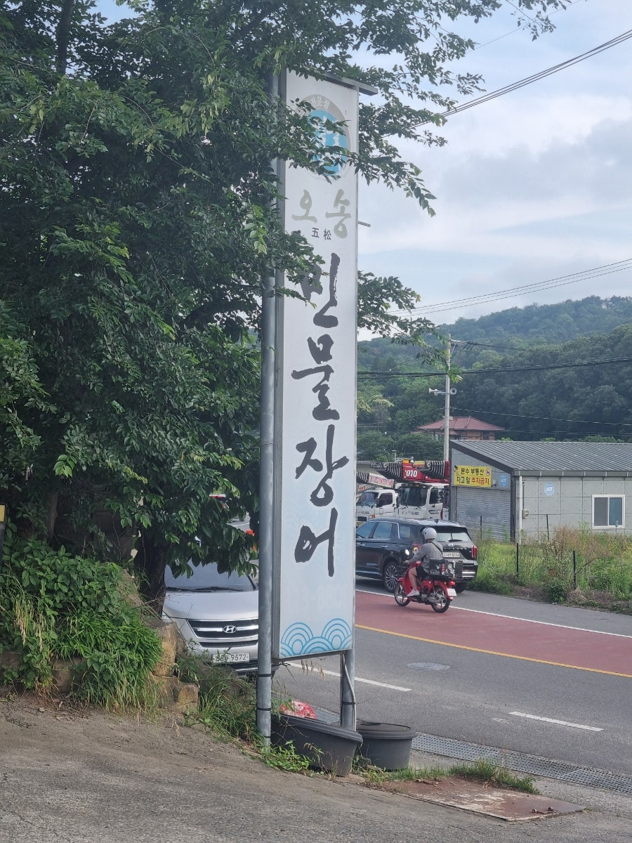 오송민물장어 사진 3