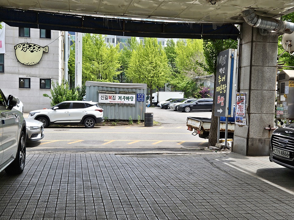 제주바당 사진 3