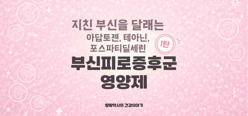 부신피로증후군 영양제 1탄 | 지친 부신을 달래는 성분 – 아답토젠·테아닌·포스파티딜세린