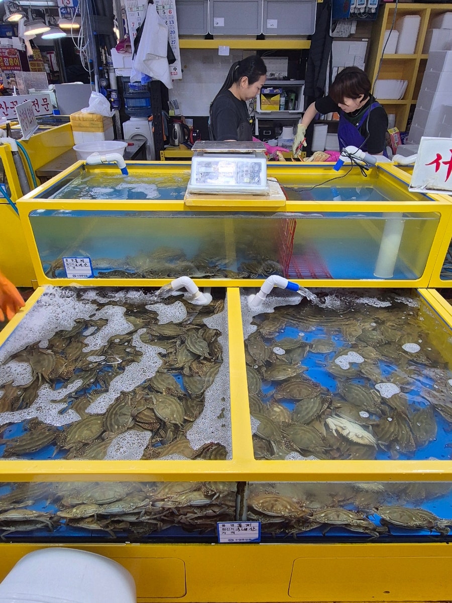 돌고래식당 사진 5