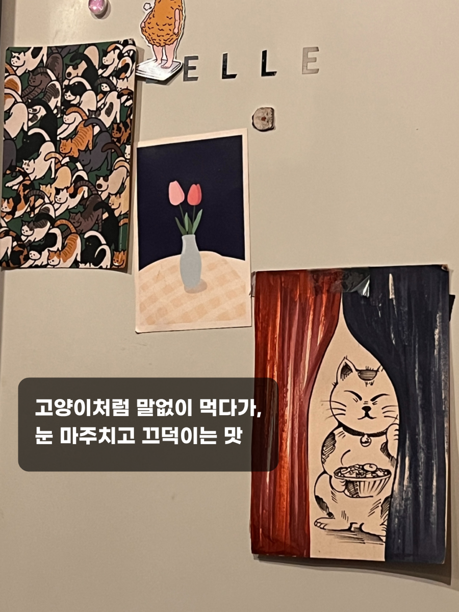 네코정 사진 5