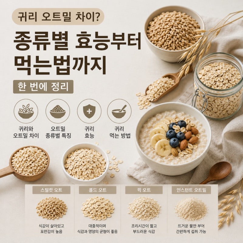 귀리, 오트밀 차이 효능 먹는법
