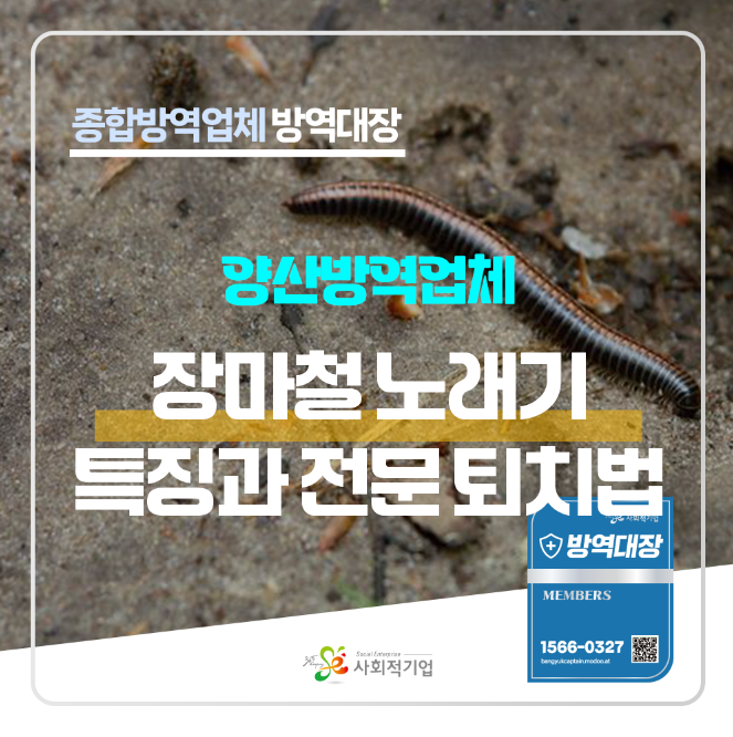 양산방역 비온 뒤 발견된 노래기, 특징과 퇴치작업