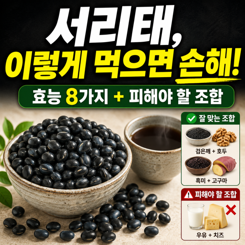 서리태 효능 검은콩 약콩 효능 검은콩차 효능 총정리