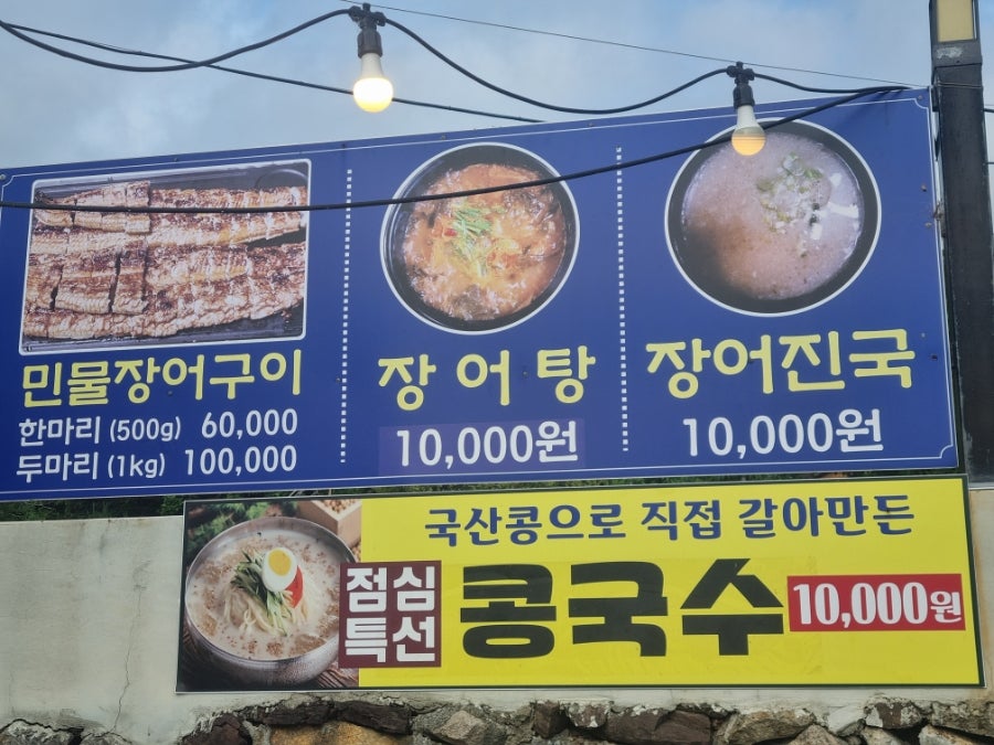 오송민물장어 사진 6