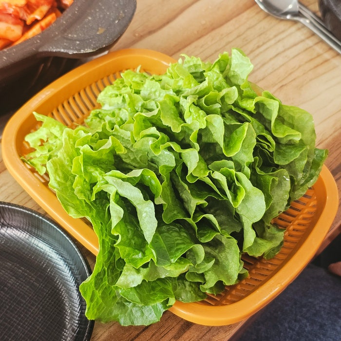 장성댐 청둥오리 사진 5