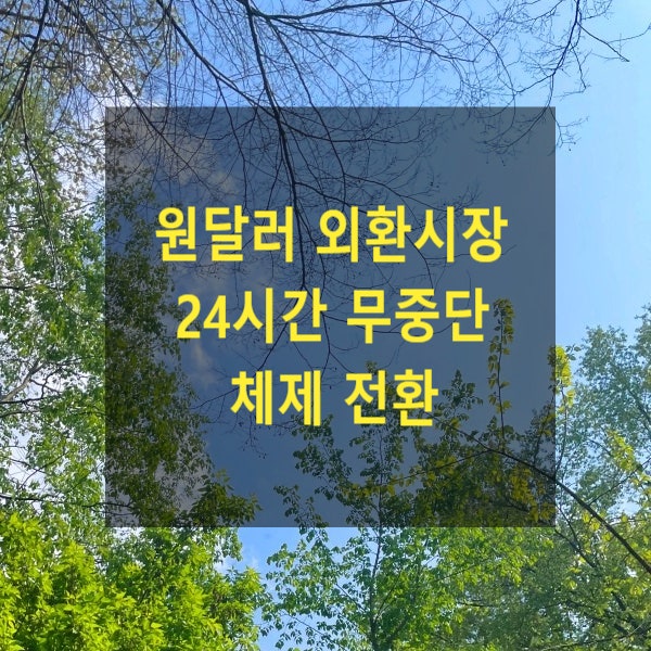  원달러 외환시장 24시간 무중단 체제 전환(2026년 7월 6일 시행)