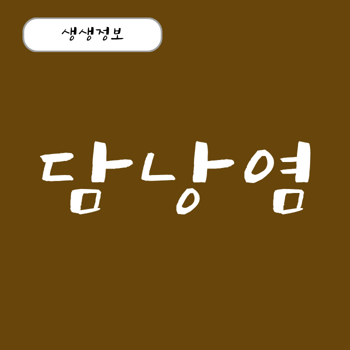 담낭염 증상 (만성, 급성) 통증 위치와 치료 과정