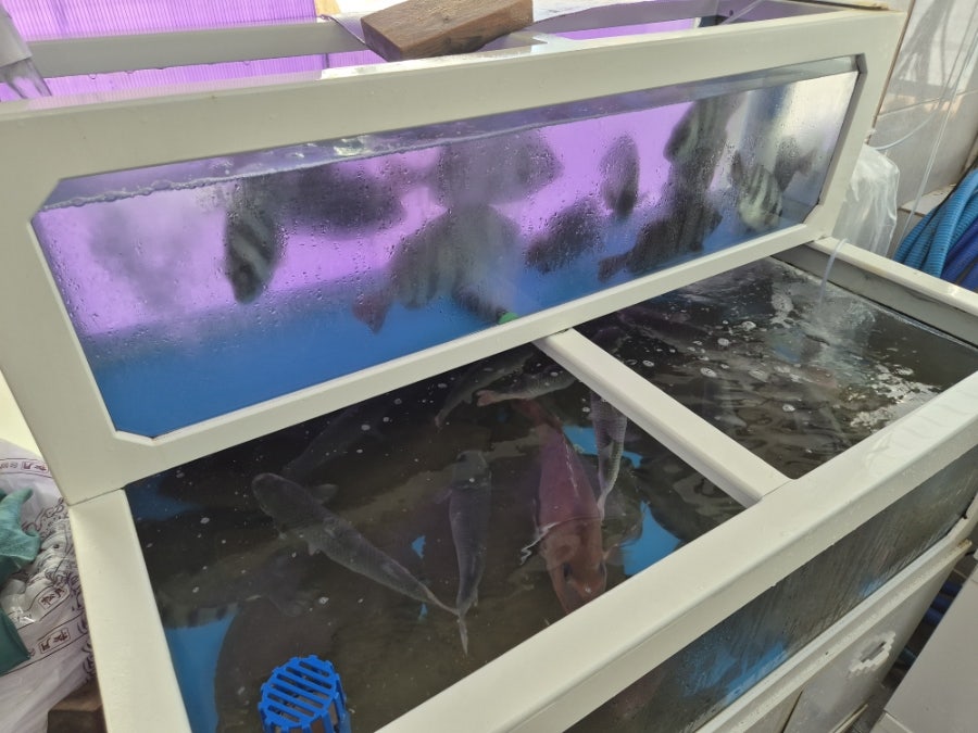 회드림 사진 6