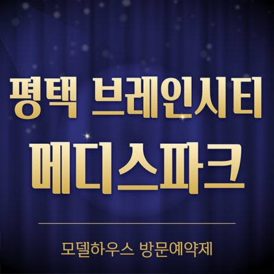  평택 브레인시티 메디스파크 미분양 6블럭 장안동 로제비앙 모아엘가 아파트 분양가