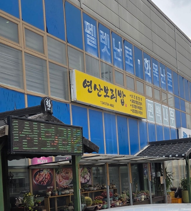 연산보리밥 사진 2