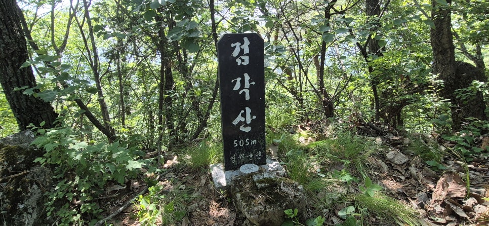 국지산 사진 4