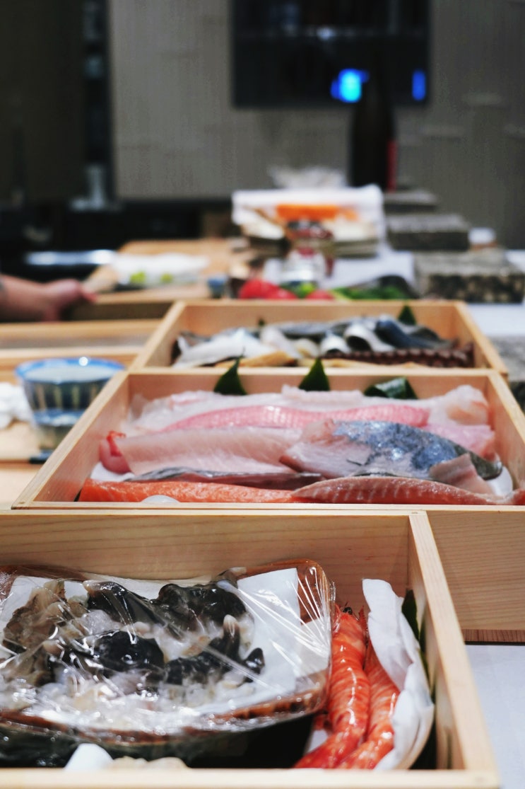  오사카 우메다 스시 맛집 스시 고텐고 오사카 스시 오마카세