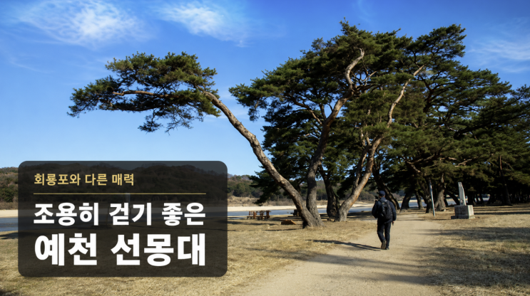  회룡포와 다른 예천 선몽대, 조용히 걷기 좋은 이유