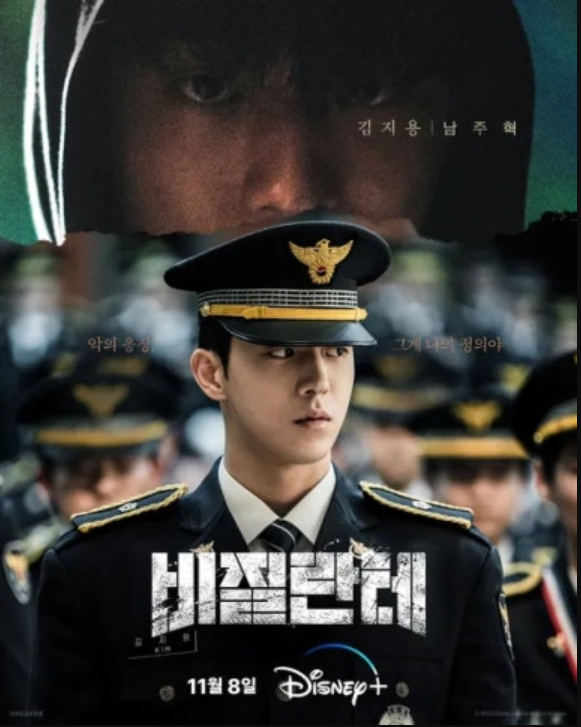  디즈니플러스 비질란테 후기 줄거리 결말 해석 남주혁 드라마 추천
