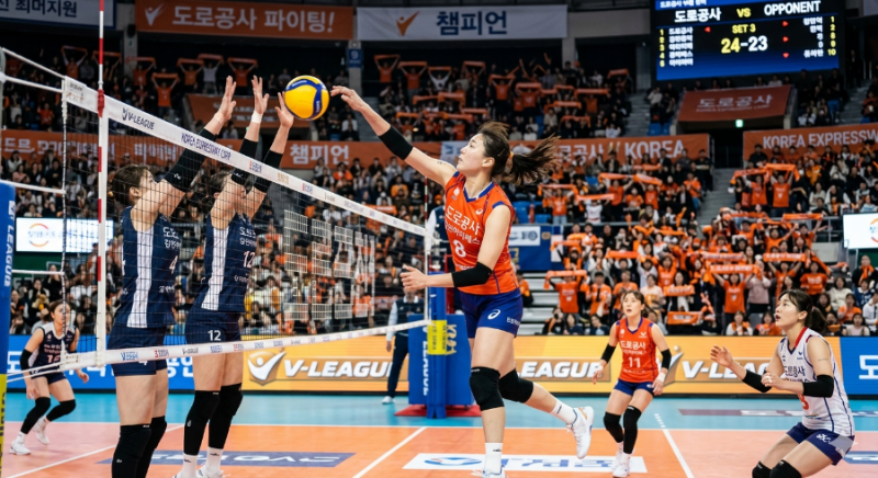 [V리그] 정규 1위 도로공사, 김종민 감독과의 갑작스러운 결별… 팬으로서 남는 아쉬움과 ‘....