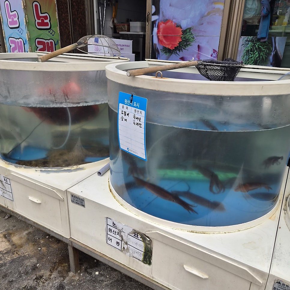 수산물회센타 사진 6