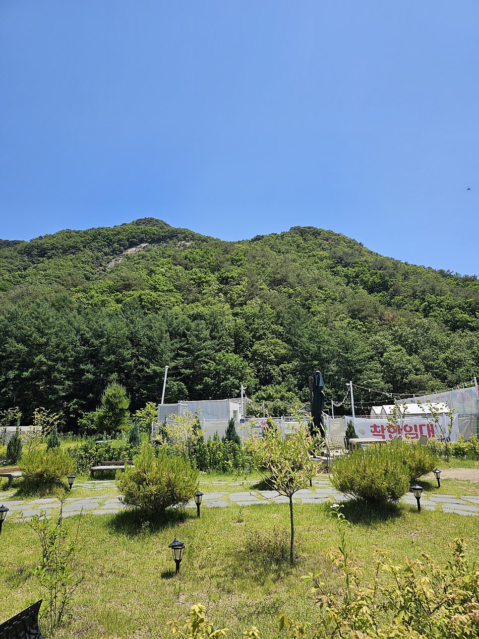 박승광해물손칼국수 원주점 사진 5