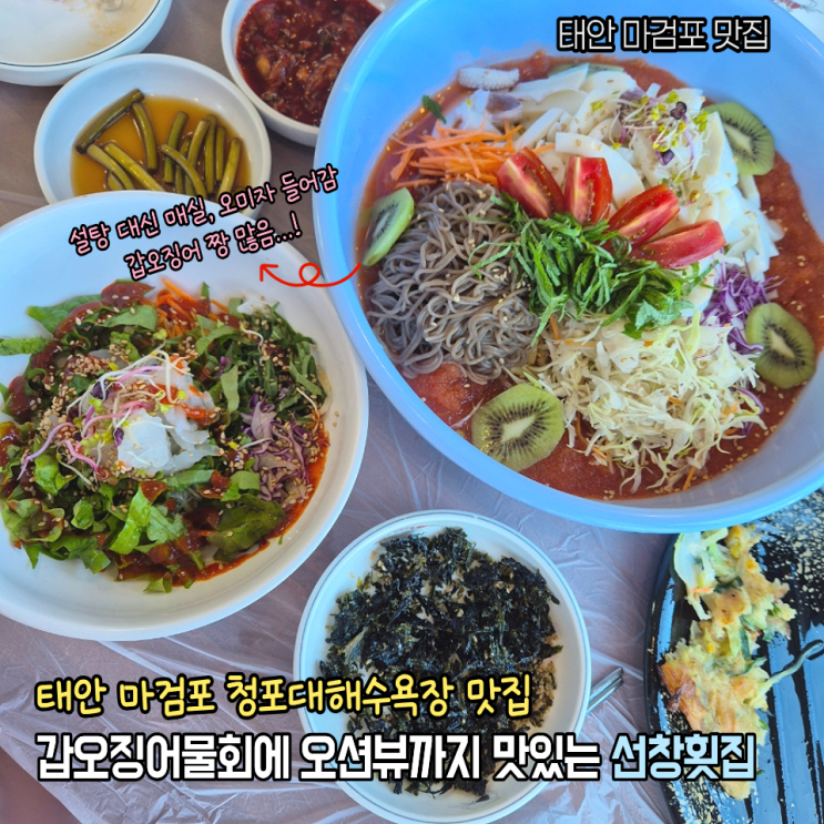  태안 점심맛집 추천 마검포 선창횟집 본점 갑오징어물회 특허받은 메뉴 먹고온 후기