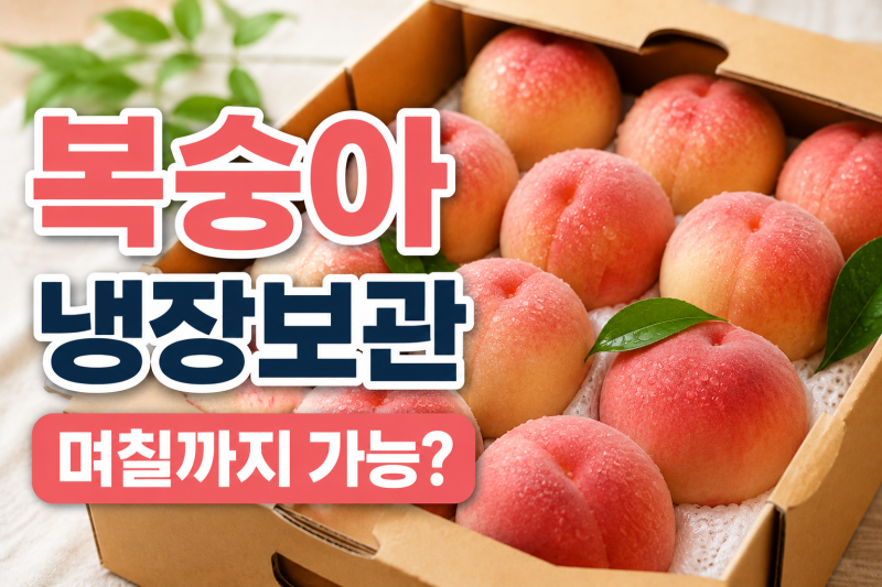 복숭아 냉장 보관 며칠 가능할까? 잘라둔 복숭아 보관법까지 정리