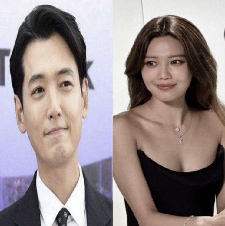 "<b>소녀시대</b> <b>최수영</b> 정경호 결별, 14년 열애 동료로 남기로."