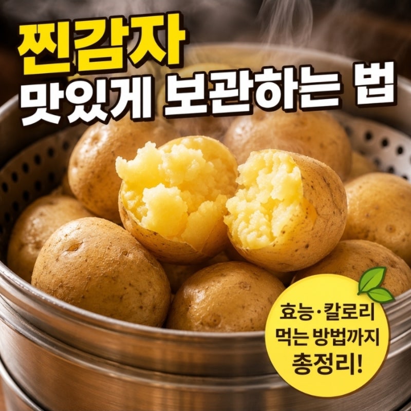 찐감자 보관법, 이렇게 했더니 더 오래 맛있게 먹었습니다! 감자 효능부터 칼로리까지 총정....