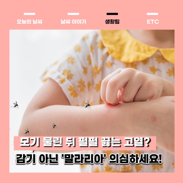 모기 물린 뒤 펄펄 끓는 고열? 감기 아닌 '<b>말라리아</b>' 의심하세요!